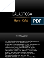 Galactosa