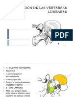 Constitución de Las Vértebras Lumbares