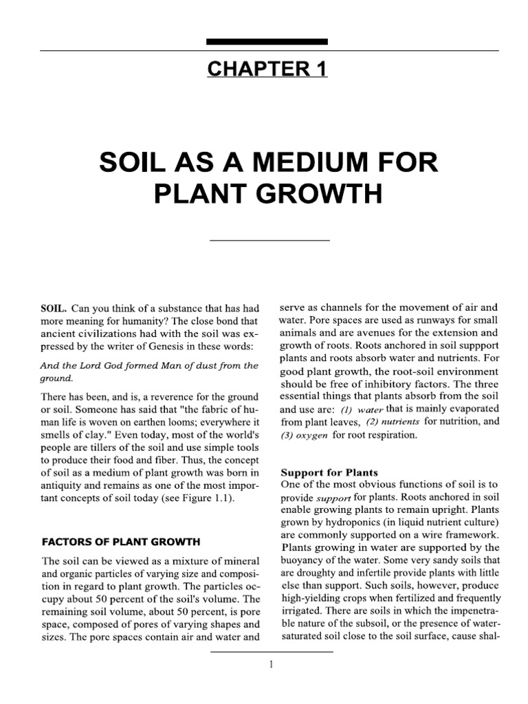 Soil as Plant Growth Medium | PDF | Horticulture And Gardening | Nature