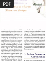 01 Odonto Estetica Resina Composta