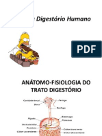 Aula 8 Sistema Gastrintestinal Novo