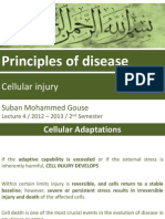 Cellular injury