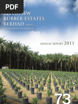 Riverview Pdf Board Of Directors Corporate Governance