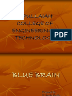 BLUE Brain