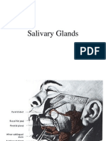 Salivary Gland