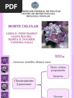 Morte Celular - Tunel, Cometa e Outros Ensaios