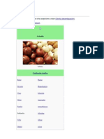 Allium cepa: descripción, usos y propiedades de la cebolla