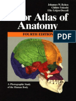 Download Color atlas of anatomy by Xi Shi SN123233885 doc pdf
