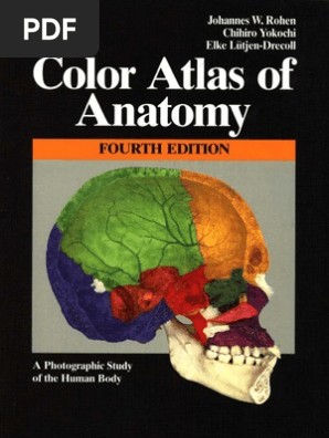Rohen Color Atlas Of Anatomy Color Atlas Of Anatomy 7th Edition,