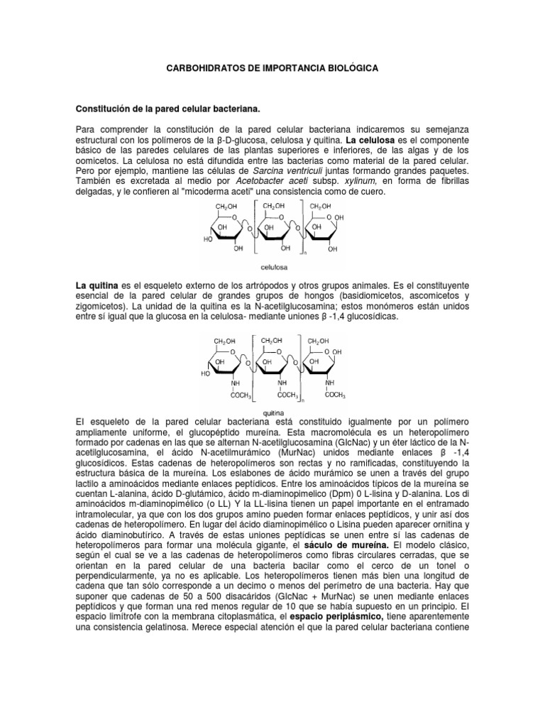 Estructura de la Pared Celular Bacteriana | PDF | Pared celular ...