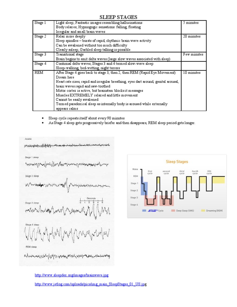 Understanding Sleep Stages Explained | PDF
