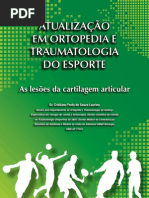 Atualizacao Lesoes Cartilagem Articular