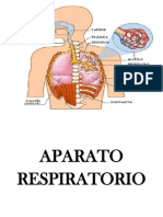 APARATO RESPIRATORIO