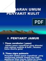 Gambaran Umum Penyakit Kulit