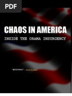 Chaos in America: Inside The Obama Insurgency