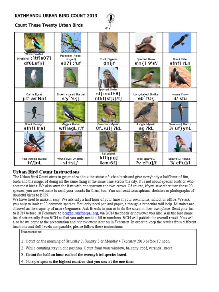 Kathmandu Urban Bird Count Guide | PDF | Dinosauriforms | Archaeology