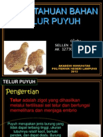 Download Telur Puyuh by Sellen Gurusmatika SN123312907 doc pdf
