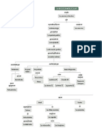 Mapa Conceptual Bio Molecular Bio 9