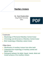 central incisor 