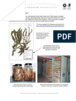 Herbarium