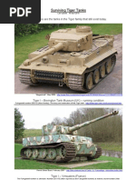 Download Surviving Tiger Tanks by Malcolm Hunt SN123345760 doc pdf