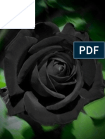 A Dead Rose