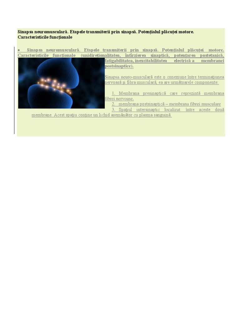 Sinapsa Neuromusculară | PDF