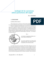 Fisiopatologia+de+Las+Curvas+Antero Posteriores+Del+Raquis