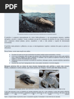 Os vazamentos de petróleo nos oceanos