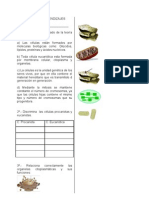 Evaluando Mis Aprendizajes-Cta4º-2011º