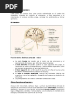 La Carta, tipos y Carácterísticas