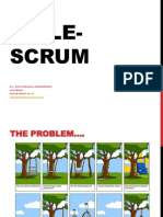 Agile-Scrum 2013