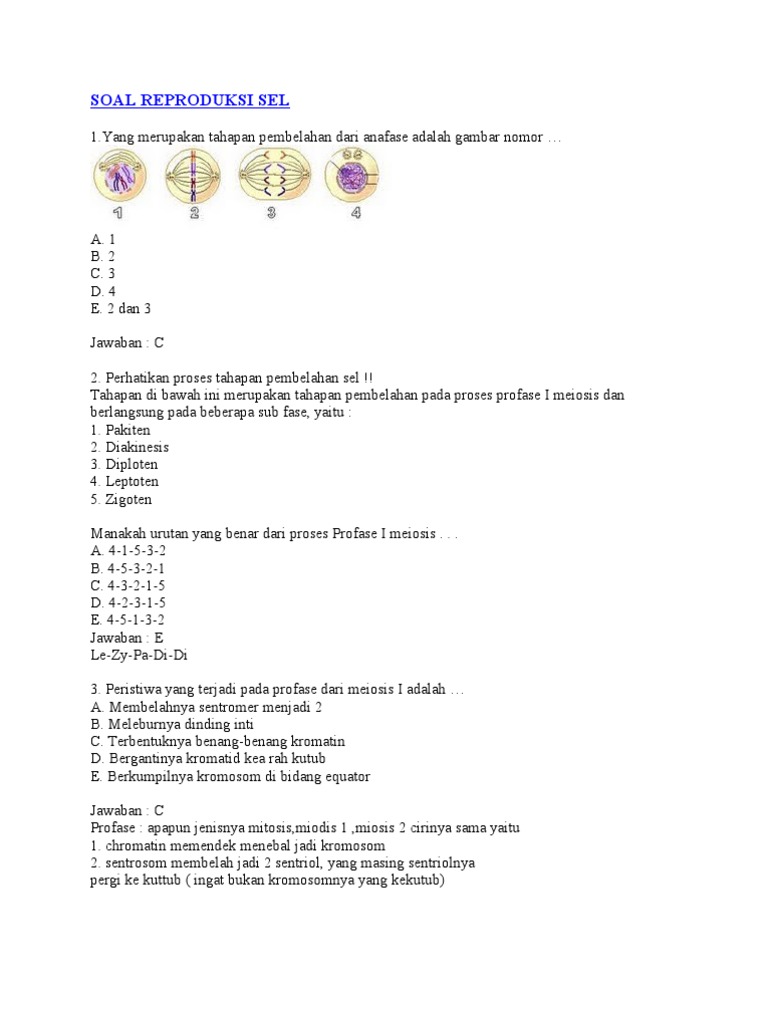 Soal Pembelahan Sel Kelas 9 Doc