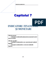 Cap 7 Indicatori Financiari