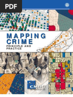 Crime mapping principles & practice