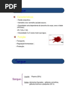 i_Sangue