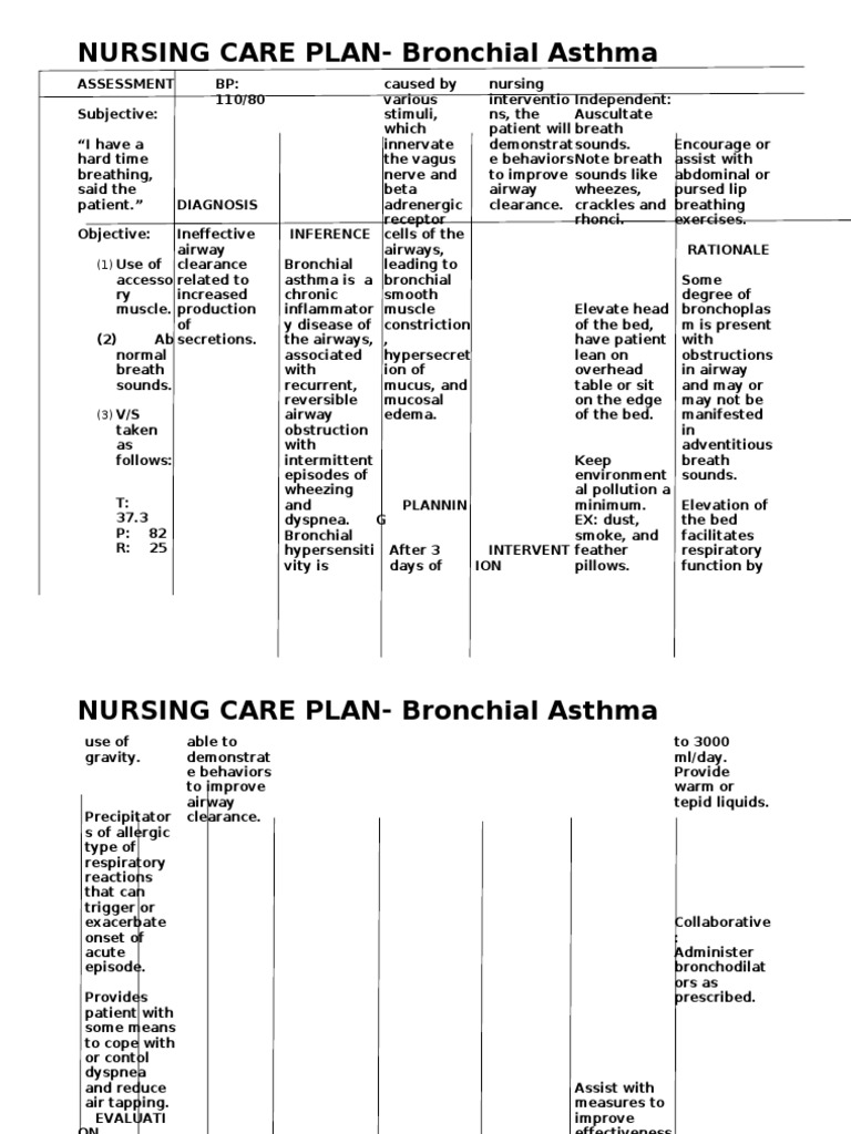 asthma care plan