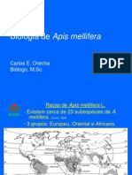 Biologia de Apis Mellifera2