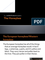 Poems and Facts About Honeybees