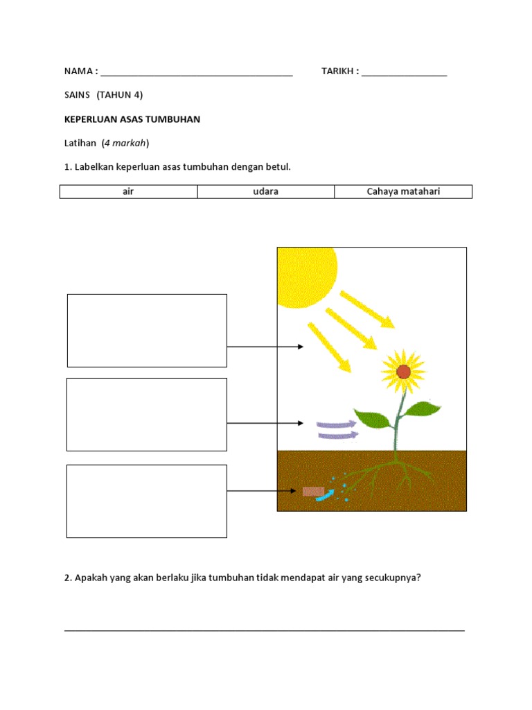 Sains Tahun 4 Keperluan Asas Tumbuhan Latihan Asas (2013)