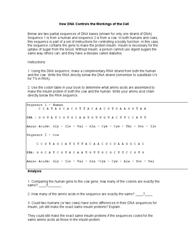 worksheet Dna And Rna Worksheet dna worksheet answers 1