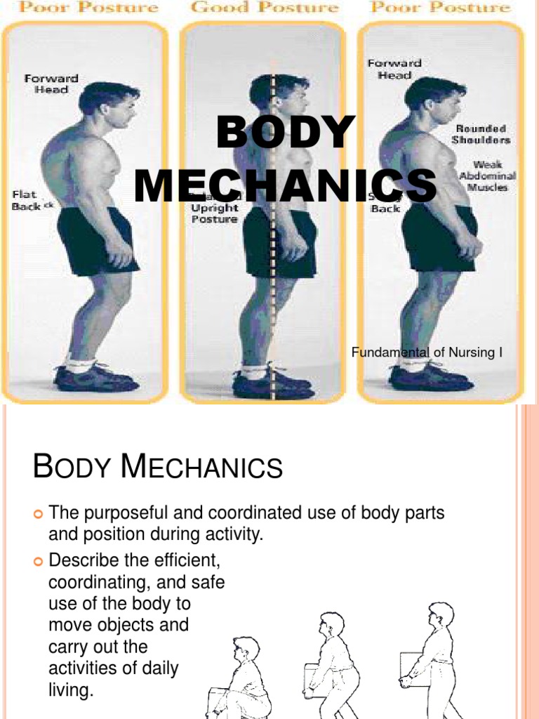 Body Mechanics PDF Anatomical Terms Of Motion Musculoskeletal System