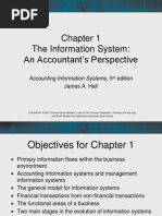 Accounting Information System - Chapter 1