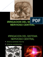 22547343 Irrigacion Del Sistema Nervioso Central