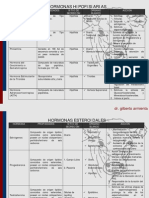 Endocrinología 2