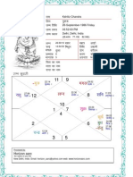 Snapshot of Kundli Chakra Software