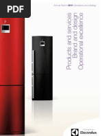 Download Electrolux Annual Report by kawica82 SN123690599 doc pdf