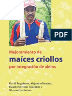 Maices Criollos