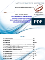 Pulpitis Cronica Patologia II (1)