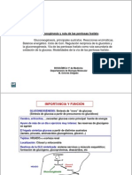 Pentosa Fosfato PDF